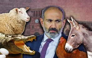 Овца – в правительстве – 7orTV